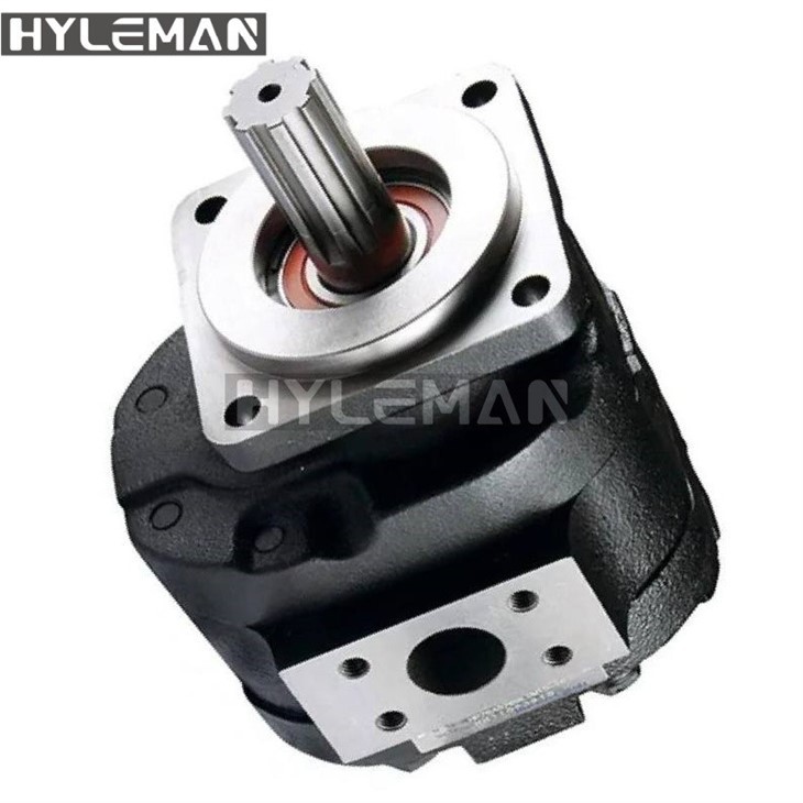 P30-P31-P50-P51-P76-P75-P315-P330-P350-P365-Pumps (1)