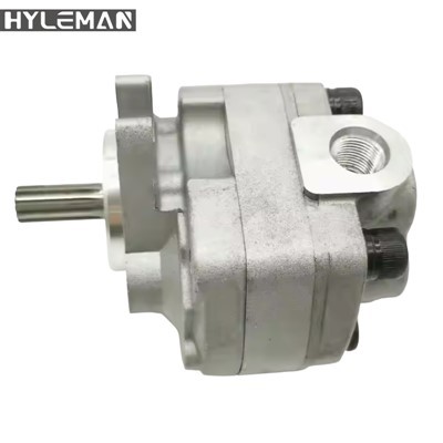 유압 기어 펌프는 300-8에 적합합니다